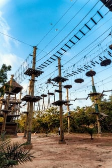 Blue Mountain Resort team building activity